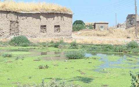 بوادر تنذر بأن كوردستان سوريا ستخلو من الإزيديين