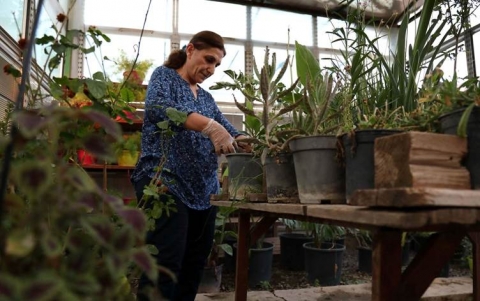 النساء العاملات.. كفاح في سبل الحق وجني المال