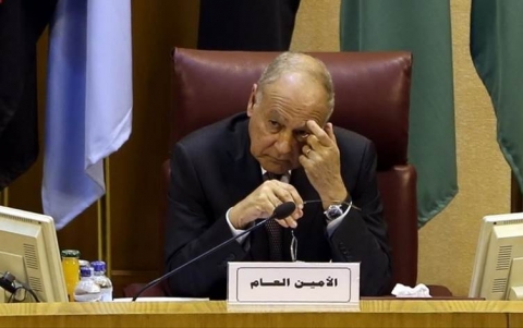 الجامعة العربية تبدي مخاوفها من تطهير عرقي للكورد في سوريا من جانب تركيا