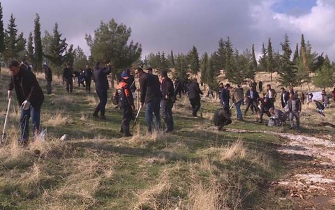 حملة لزراعة 2.5 مليون بذرة بلوط في إقليم كوردستان