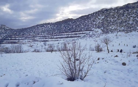 الثلوج في جبل كارا في إقليم كوردستان تجذب السياح من كافة المحافظات العراقية