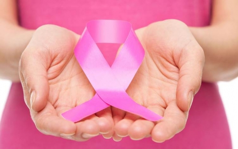 اسم كوردستان يدخل موسوعة غينيس عن طريق عرض أطول شريط وردي