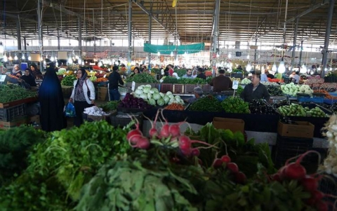 النجف تمد أربيل بالخضروات الورقية شتاء