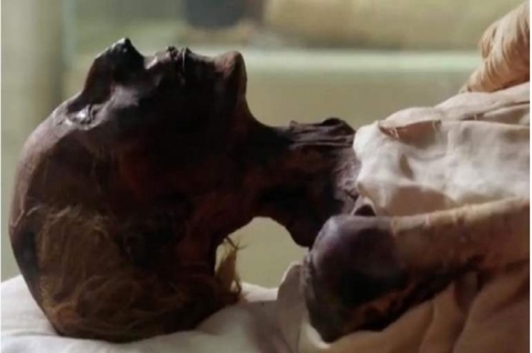 أنجب 100 طفل .. “رمسيس الثاني” بلا أعضاء تناسلية؟