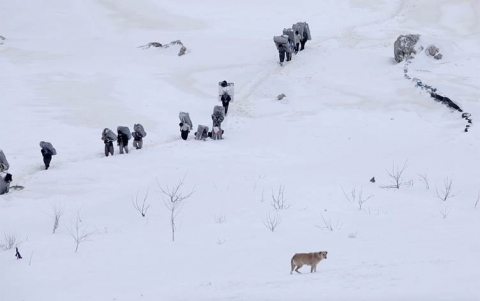 عابرو الجبال.. في كوردستان إيران المحفوف بالمخاطر