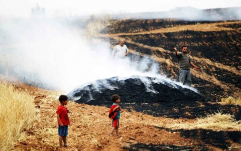 تضرر 6600 هكتار مزروعة بالقمح والشعير في الحسكة جراء الحرائق