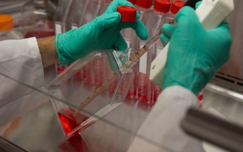 وفاة شخصين مصابين بفيروس كورونا في السليمانية