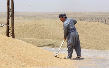 نتائج غير واضحة لمحاولات استعادة مستحقات فلاحي إقليم كوردستان