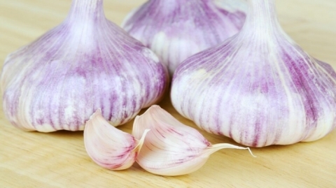 ماذا يحدث للجسم عند تناول الثوم بصورة دائمة؟