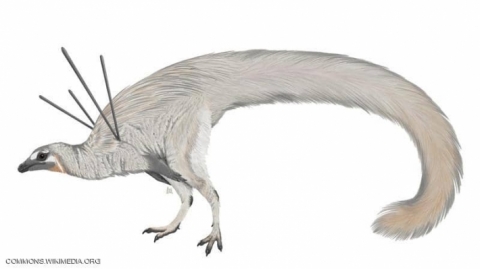 بشعر وإبر .. ديناصور بحجم الدجاجة يثير حيرة العلماء !