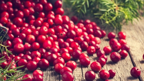 للحفاظ على الصحة... اليكم أفضل انواع الفاكهة المنخفضة السكر