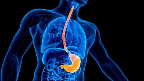 أطعمة غير متوقعة تسبب مشاكل في المعدة وارتفاع سكر الدم !