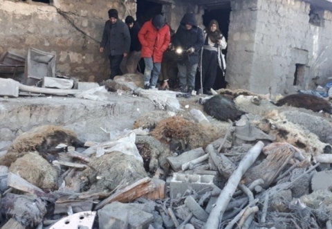 قصف جوي يتسبب بنفوق العشرات من رؤوس الماشية في چومان