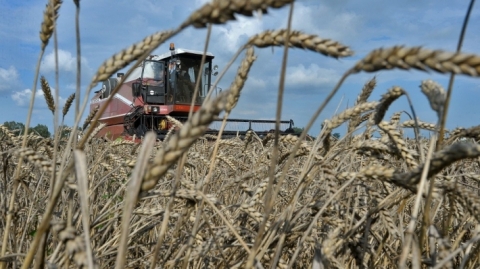 حكومة كوردستان تخصص ميزانية لتعويض المزارعين المتضررين من الجفاف