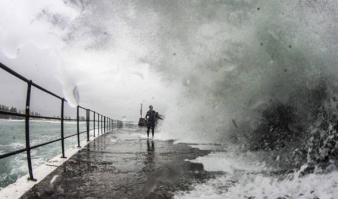 الكشف عن دراسة 