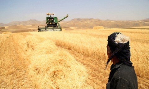 تقدر بمليارات الدنانير .. وزير التجارة العراقي : لامانع قانوني امام صرف مستحقات فلاحي كوردستان