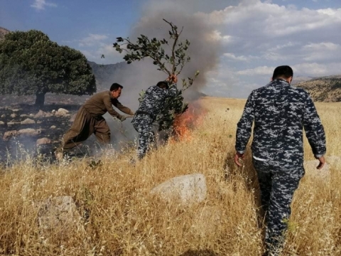 الحرائق تأتي على ألف دونم من الأراضي في دوكان