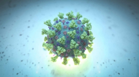 الصحة العراقية تحذّر من انتشار سلالة «كورونا» الجديدة في البلاد