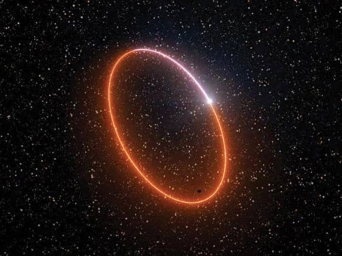 الكشف عن النجم 