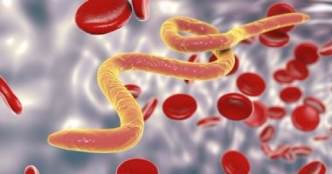 كيف تعرف إذا كانت تعيش بداخلك 