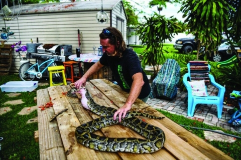 أمريكي يصنع الكمامات من جلود الأفاعي