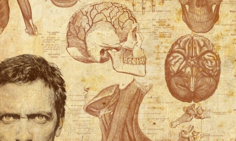 علم النفس البيولوجي : الدماغ والسلوك