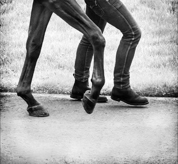 دلّني على السوق