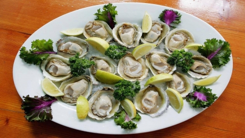 صياد فلبيني يكشف عن أكبر لؤلؤة في العالم سعرها 100 مليون دولار