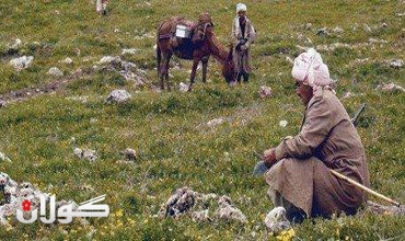 البارزانية فلسفة بناء الدولة....شفان ابراهيم