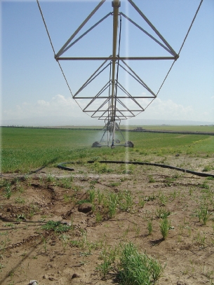 الزراعة والموارد المائية تجري بحوثاً لتحديد مستوى المياه الجوفية في الاقليم