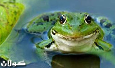 محكمة المانية تحقق في واقعة 