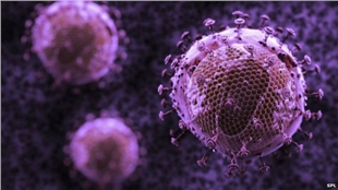 ڤیروس نادر يصيب مئات الأطفال في 12 ولاية أمريكية