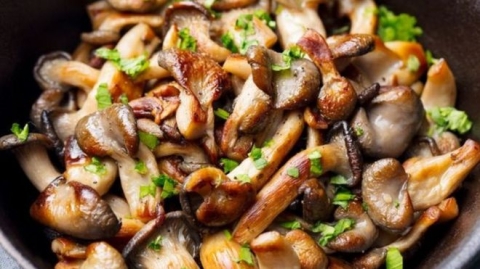 تناول الفطر مرتين أسبوعيا قد 