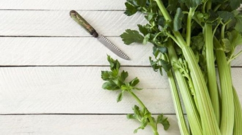 هل يساعد عصير الكرفس في علاج أمراض مزمنة؟