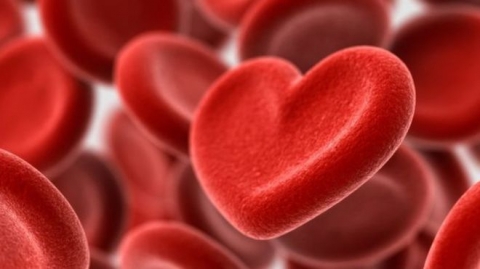 الكوليسترول: متى نهتم بفحص معدلاته في أجسامنا؟