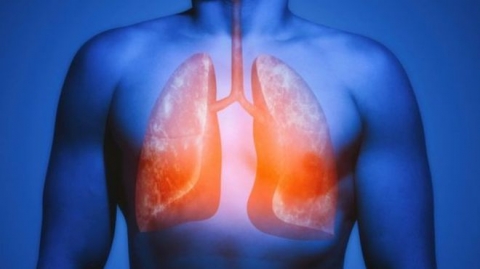 الرئة لديها قدرة 