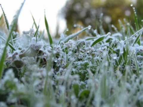 الأنواء تحذر من موجة صقيع تجتاح إقليم كوردستان