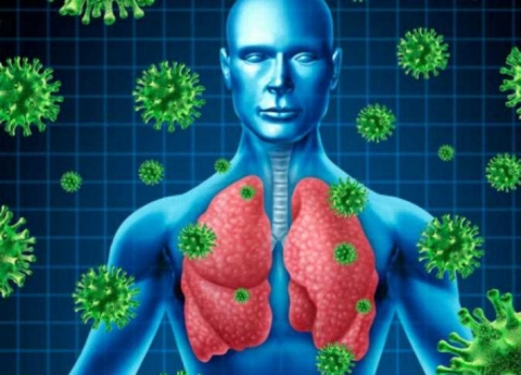 يقوى المناعة ويقتل الفيروسات.. طعام مهمل به فوائد خارقة!