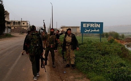  عفرين.. مسلحو الفصائل السورية أتلفوا 45000 شجرة زيتون منذ آذار 2018