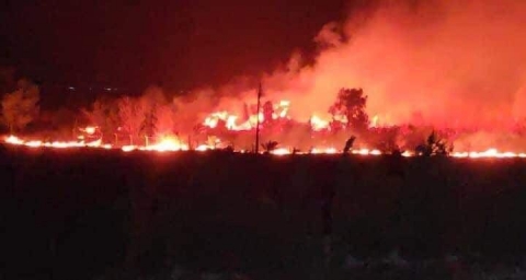 احتراق محاصيل زراعية في كفري وخانقين