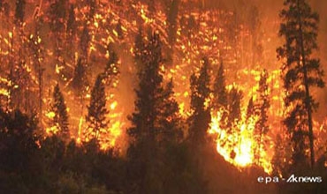 حتراق مساحات من الاراضي الزراعية في اربيل