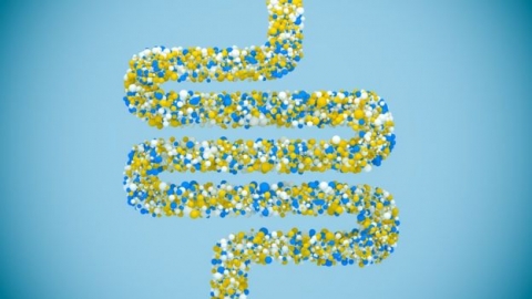 7 حقائق مدهشة عن الأمعاء التي تعتبر 