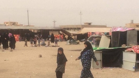 عشائر تتفق على ترحيل أكثر من 250 اسرة داعشية