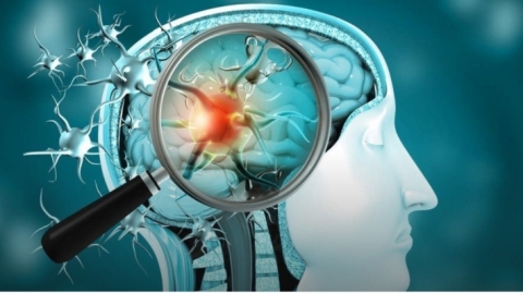 كيف يهاجم فيروس كورونا الدماغ ويحرم خلاياه من الأوكسجين؟