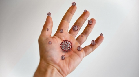 باحثون يابانيون: فيروس كورونا يبقى حيّاً على بشرة الإنسان لهذه المدّة