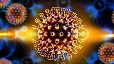 البدناء أكثر عرضة للإصابة بكورونا .. علماء يكشفون السبب!