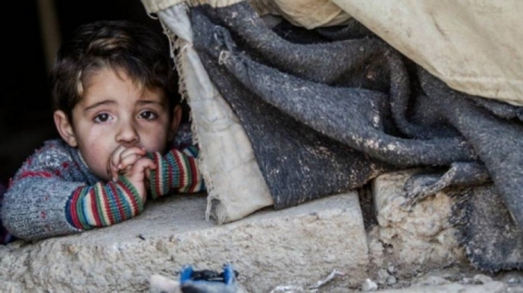 الهجرة الاتحادية : عدد مخيمات النازحين في إقليم كوردستان 26 والمتبقية في العراق 2