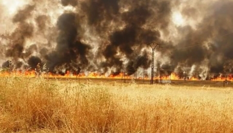 الحرائق تلتهم محاصيل المزارعين الكورد في كوباني وعين عيسى وعفرين‎