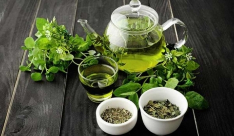 يمنع رائحة الفم الكريهة وينقص الوزن.. فوائد الشاي الأخضر بعد تناول اللحوم