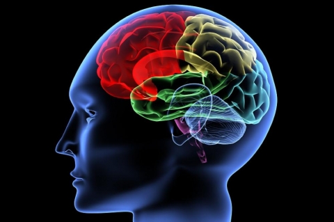 ليس 18.. العلماء يحددون سن البلوغ الحقيقي!